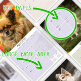 Chihuahua Wall Calendar 2025
