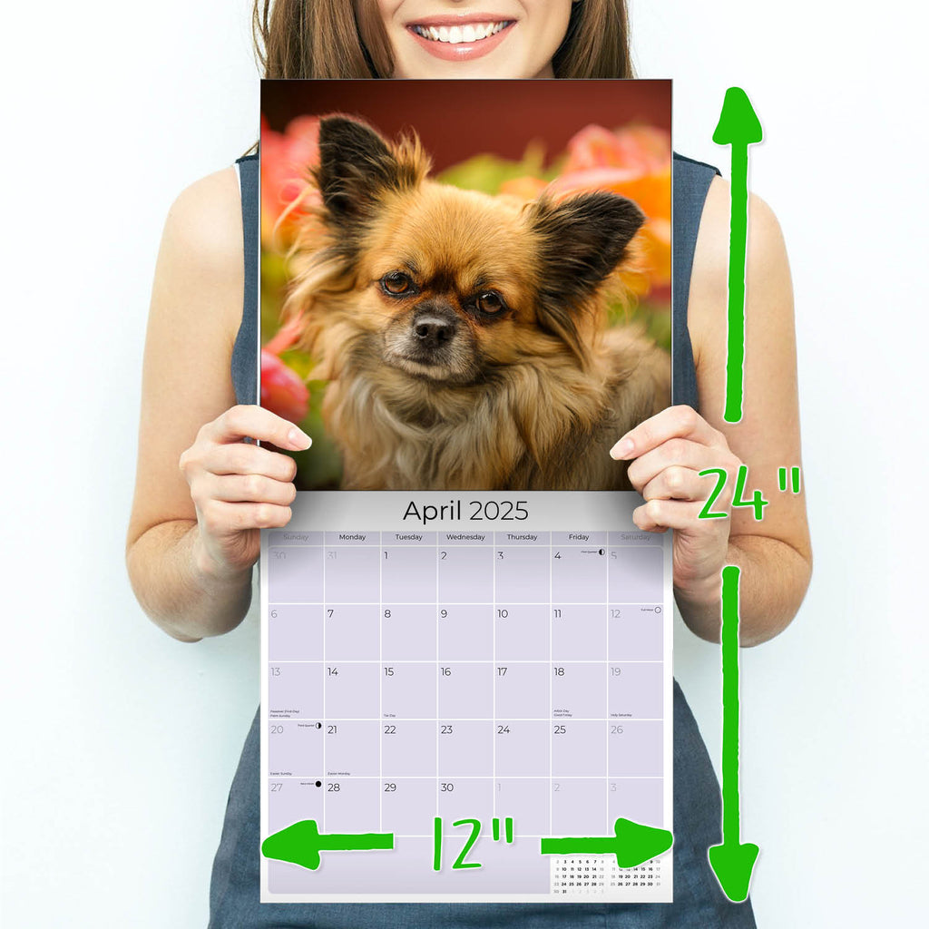 Chihuahua Wall Calendar 2025