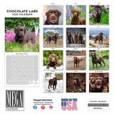 Chocolate Lab Retriever Wall Calendar 2025