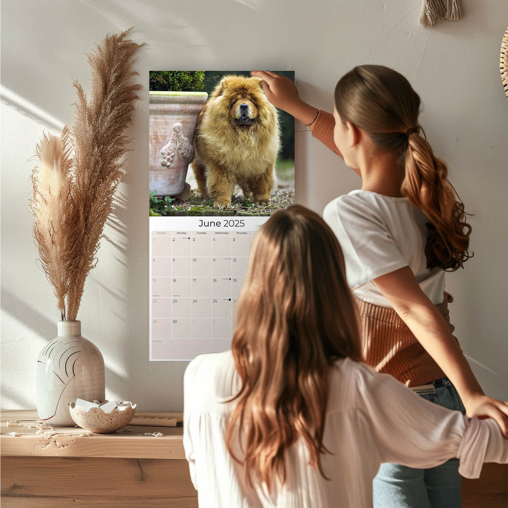 Chow Chow Wall Calendar 2025