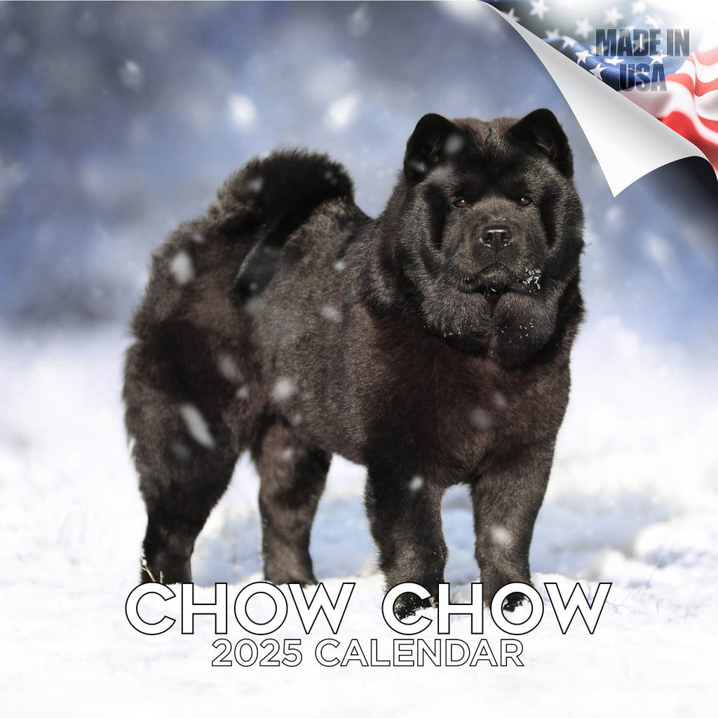 Chow Chow Wall Calendar 2025
