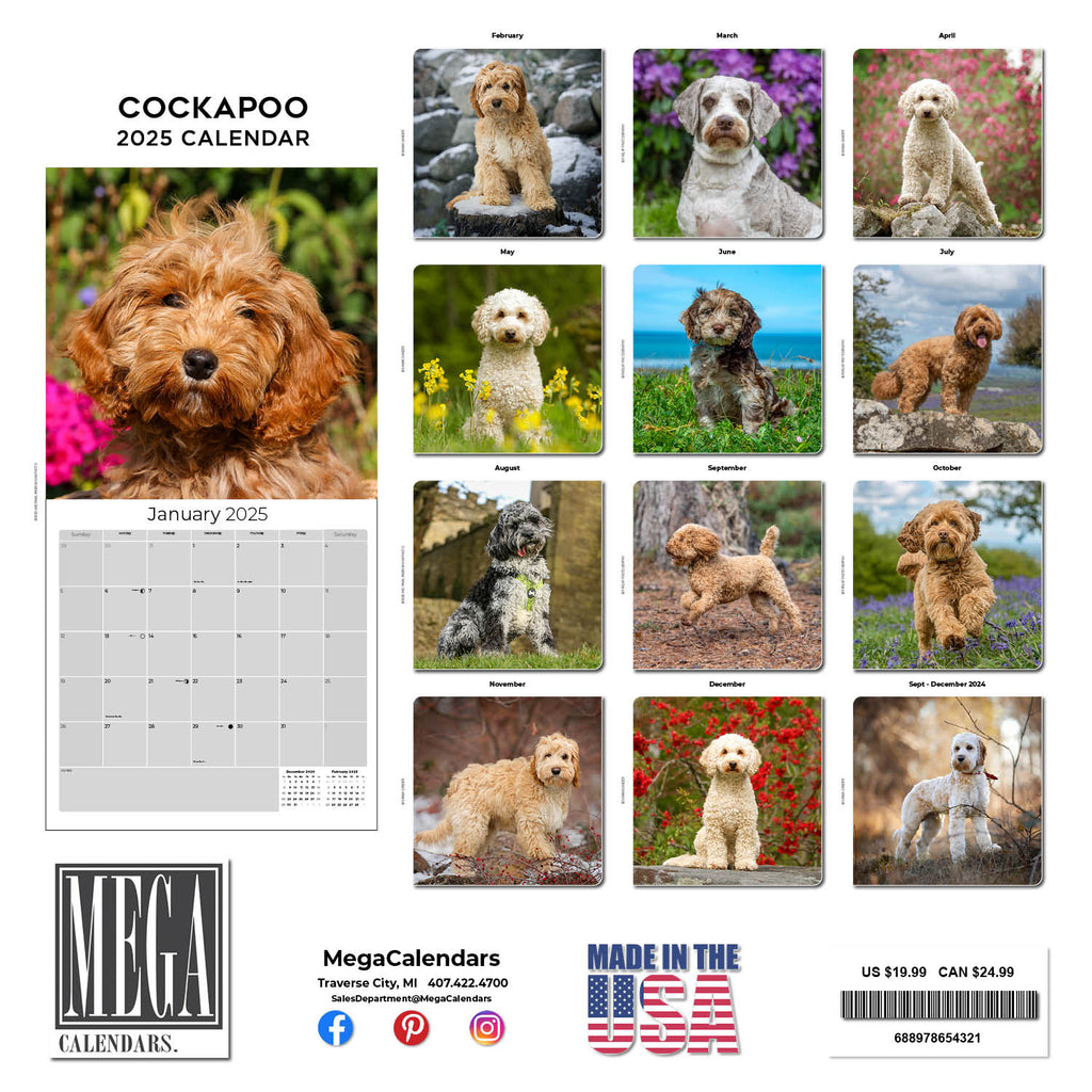 Cockapoo Wall Calendar 2025