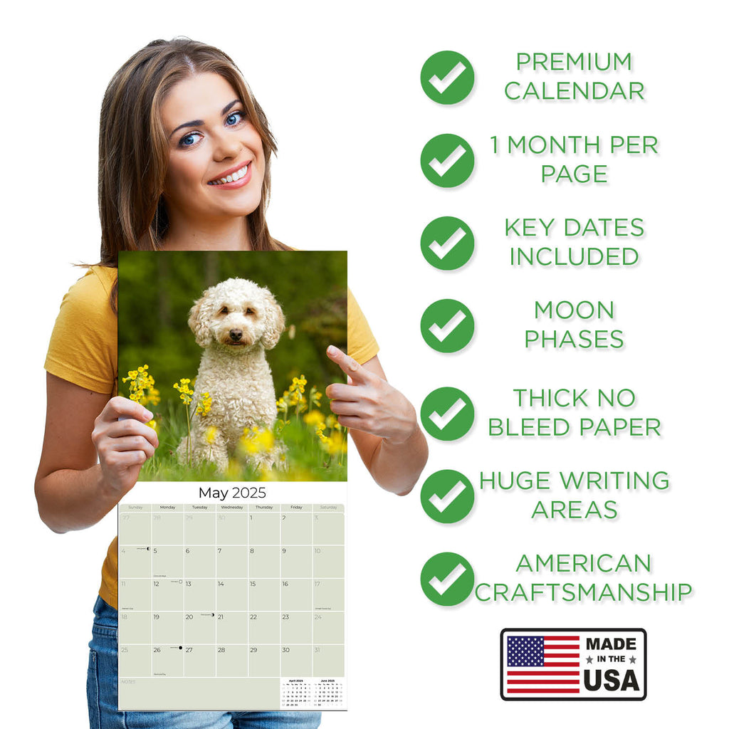 Cockapoo Wall Calendar 2025