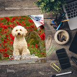Cockapoo Wall Calendar 2025