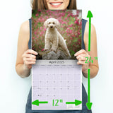 Cockapoo Wall Calendar 2025