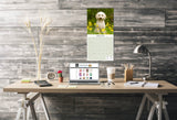 Cockapoo Wall Calendar 2025