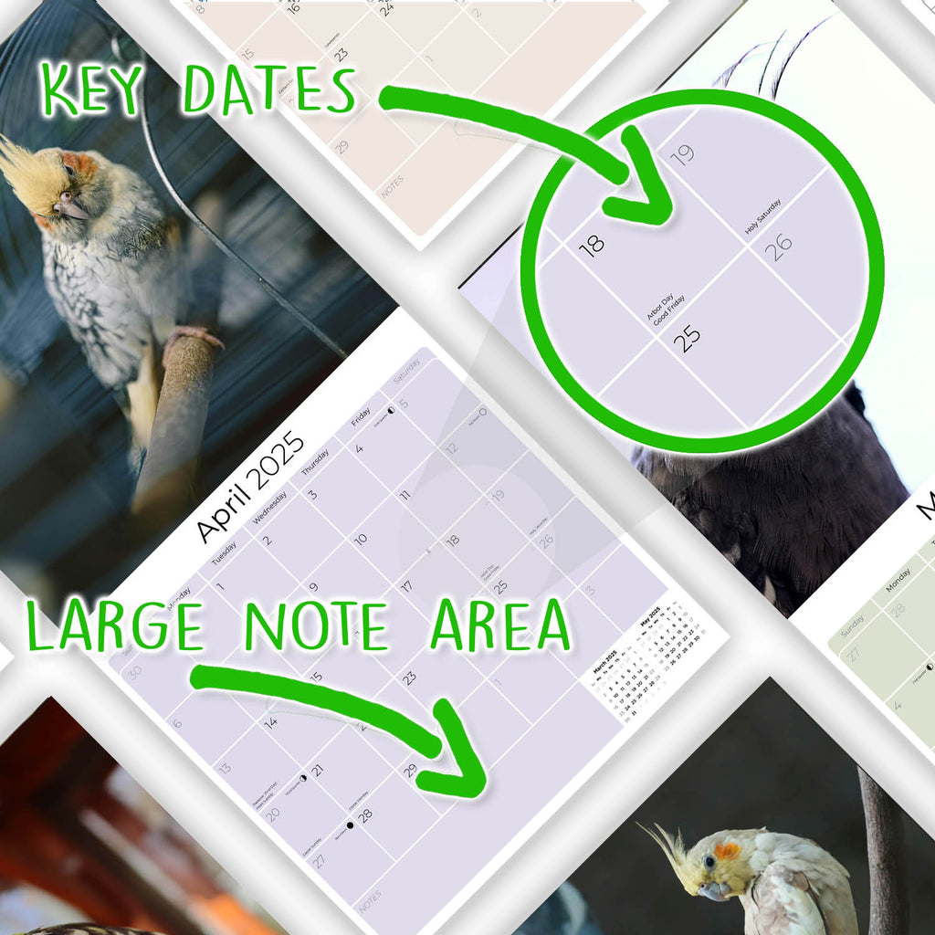Cockatiels Wall Calendar 2025