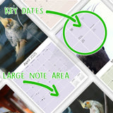 Cockatiels Wall Calendar 2025