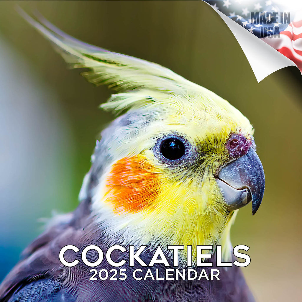 Cockatiels Wall Calendar 2025