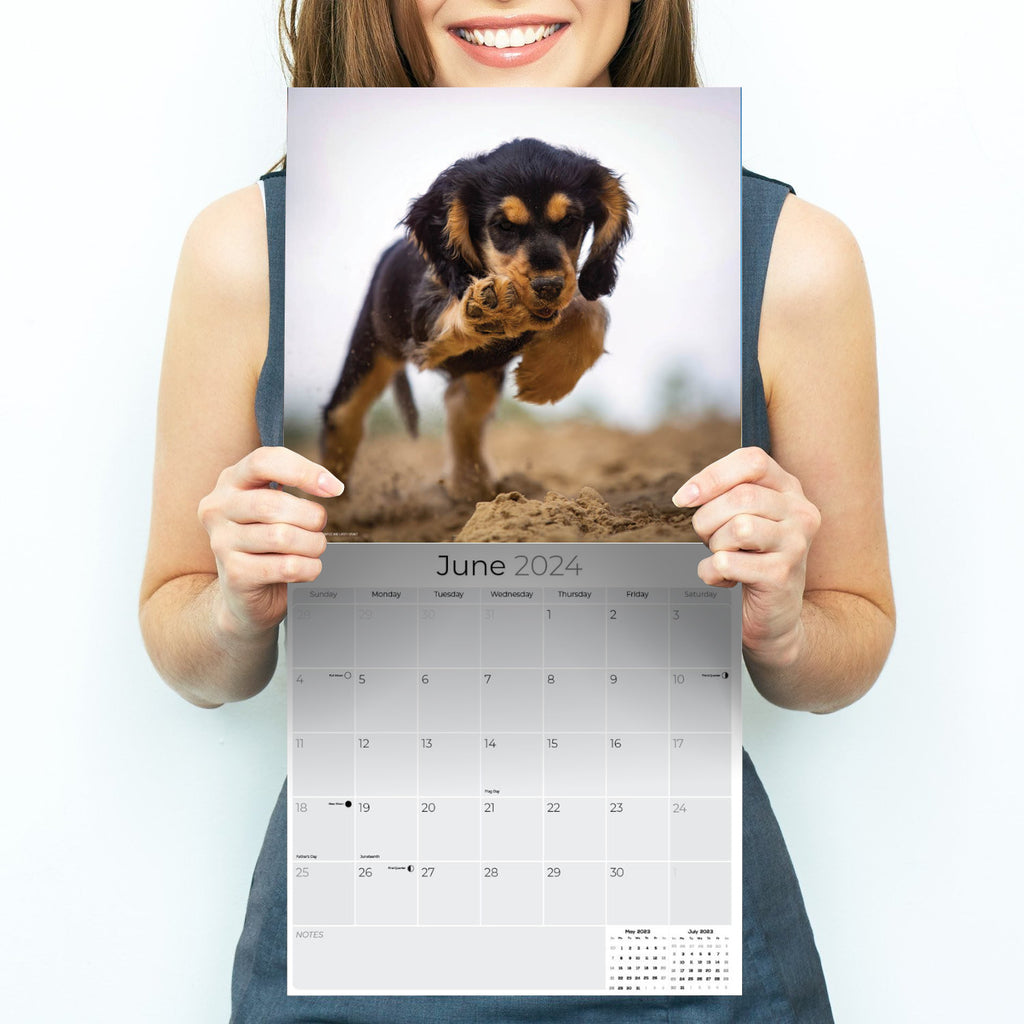 Cocker Spaniel Puppies Wall Calendar 2024