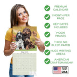Cocker Spaniel Puppies Wall Calendar 2025