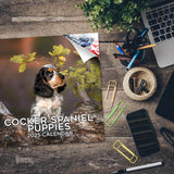 Cocker Spaniel Puppies Wall Calendar 2025