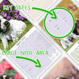 Cocker Spaniel Puppies Wall Calendar 2025