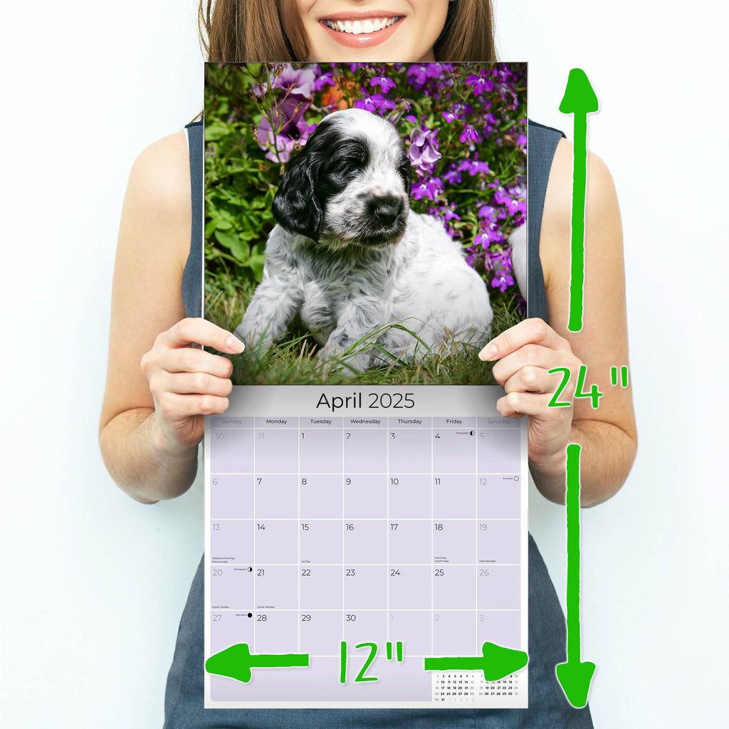 Cocker Spaniel Puppies Wall Calendar 2025