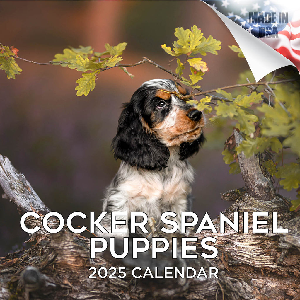 Cocker Spaniel Puppies Wall Calendar 2025