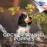 Cocker Spaniel Puppies Wall Calendar 2025