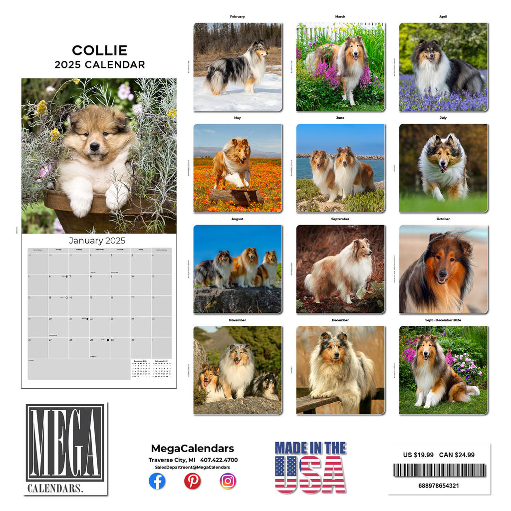 Collie Wall Calendar 2025