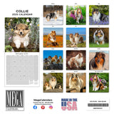 Collie Wall Calendar 2025