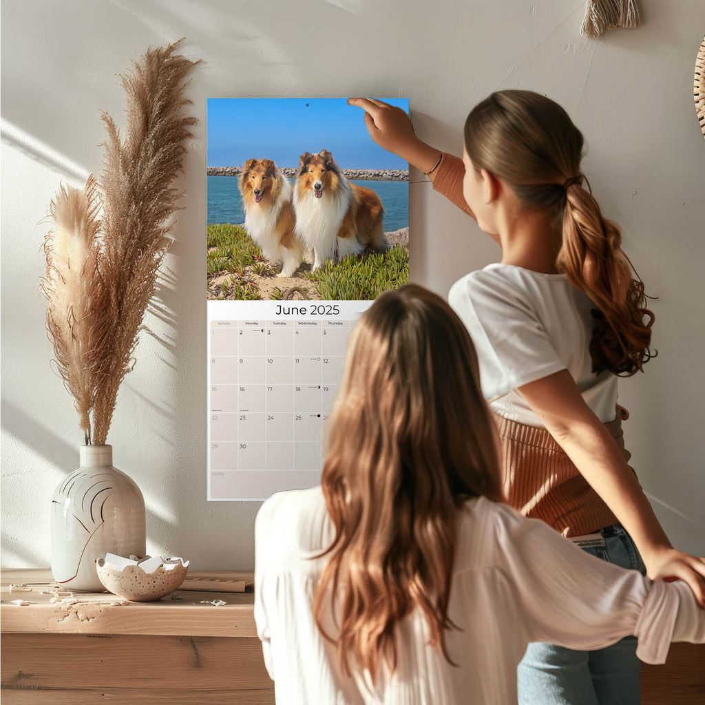 Collie Wall Calendar 2025