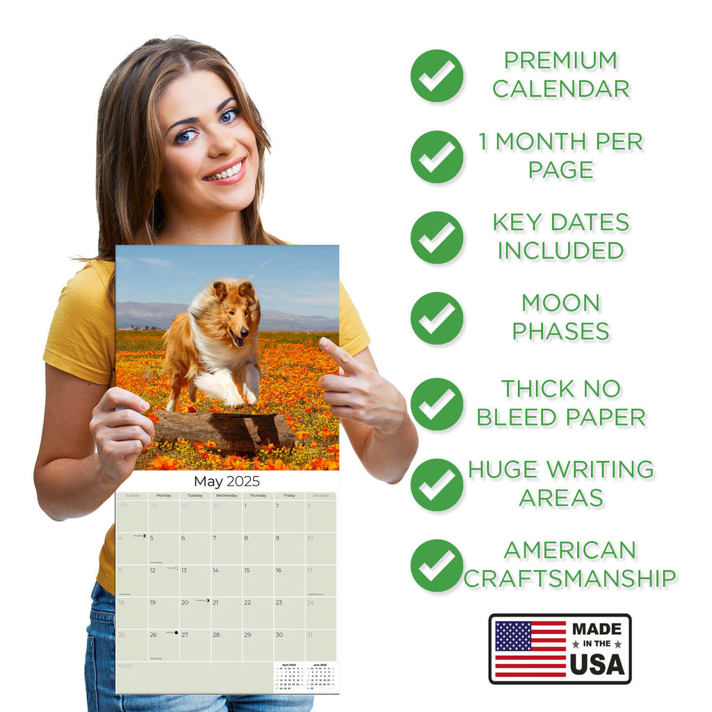 Collie Wall Calendar 2025
