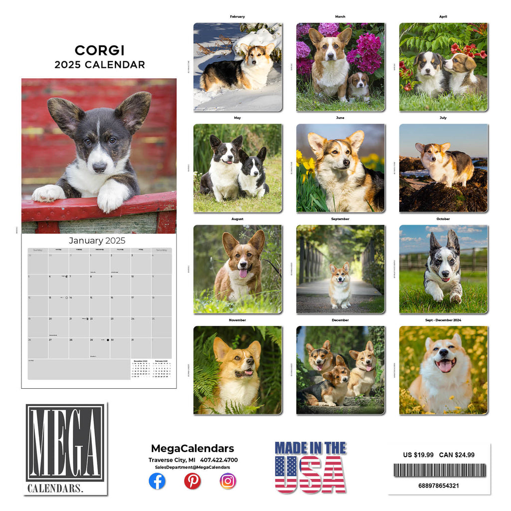 Corgi Wall Calendar 2025