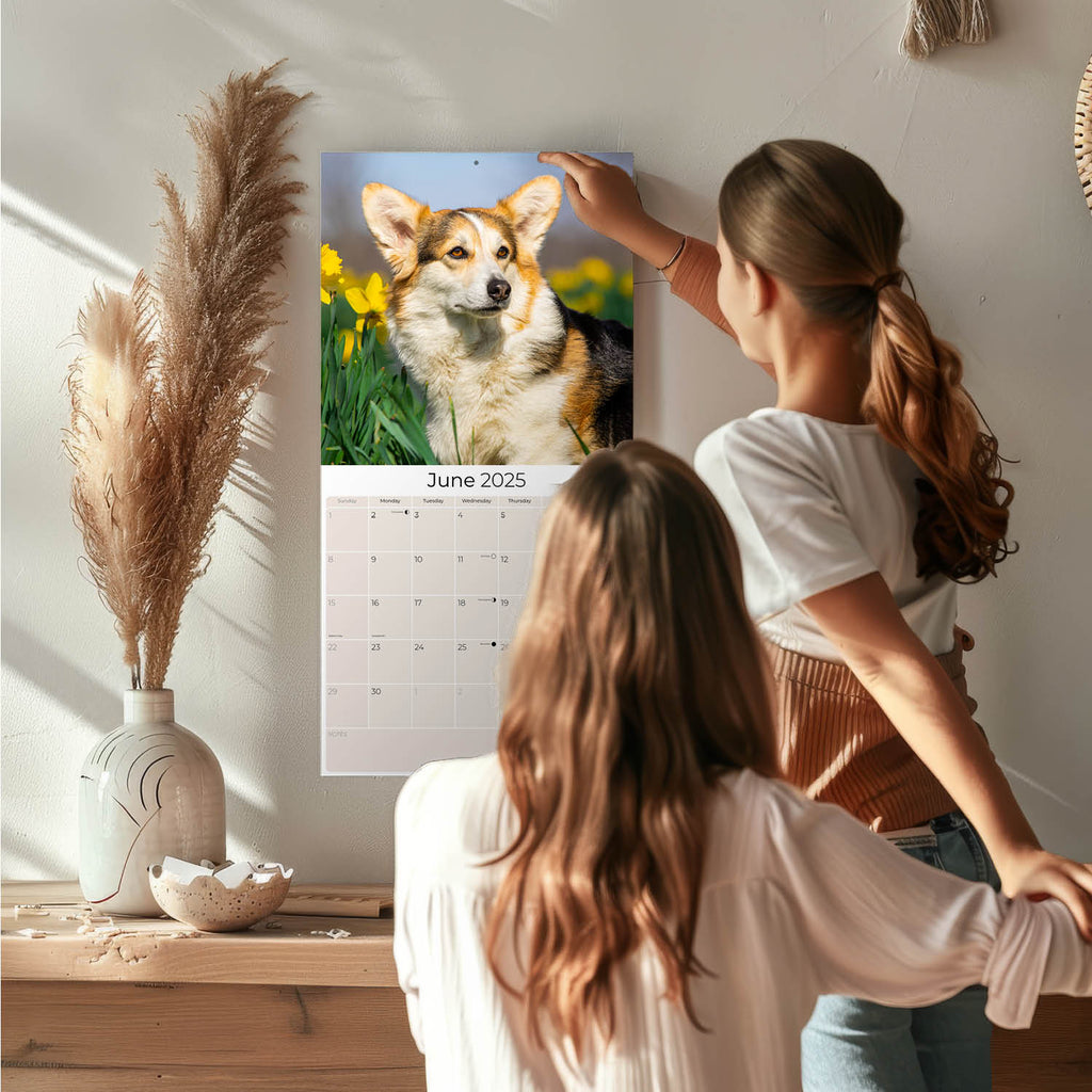 Corgi Wall Calendar 2025