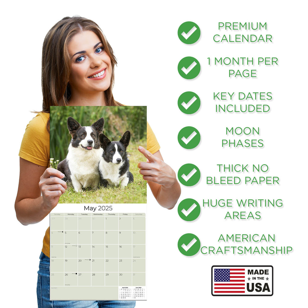 Corgi Wall Calendar 2025