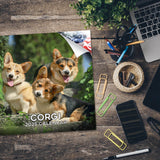 Corgi Wall Calendar 2025