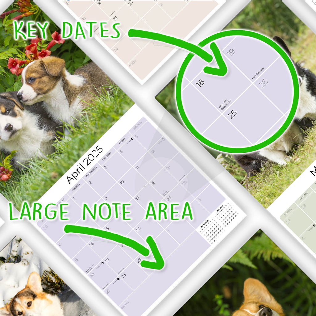 Corgi Wall Calendar 2025