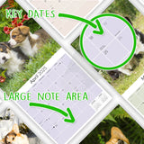 Corgi Wall Calendar 2025