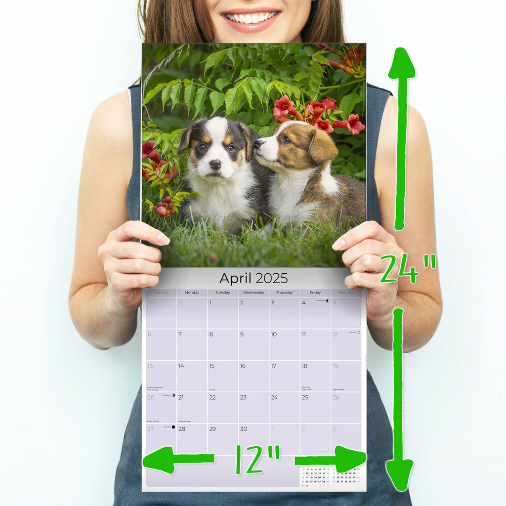 Corgi Wall Calendar 2025