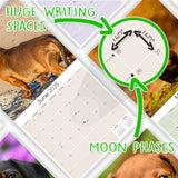 Dachshund Wall Calendar 2025