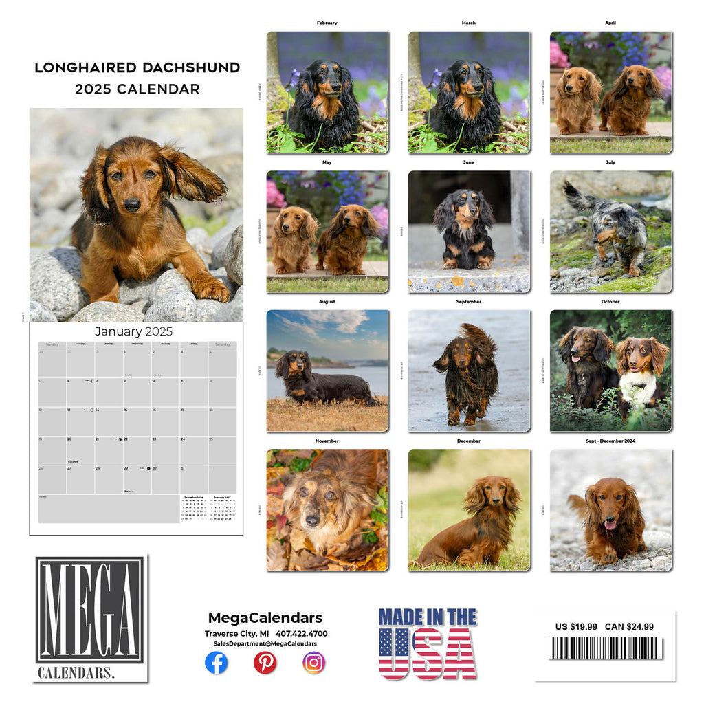 Dachshund 2025 Calendars For Sale Australia Sally Kerr Dachshund 2025 Calendars For Sale