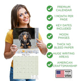 Dachshund (Longhaired) Wall Calendar 2025
