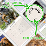 Dachshund (Longhaired) Wall Calendar 2025