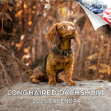 Dachshund (Longhaired) Wall Calendar 2025