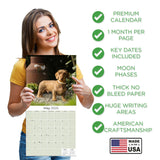 Dachshund (Wirehaired) Wall Calendar 2025
