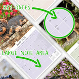 Dachshund (Wirehaired) Wall Calendar 2025
