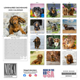 Dachshund (Longhaired) Wall Calendar 2025