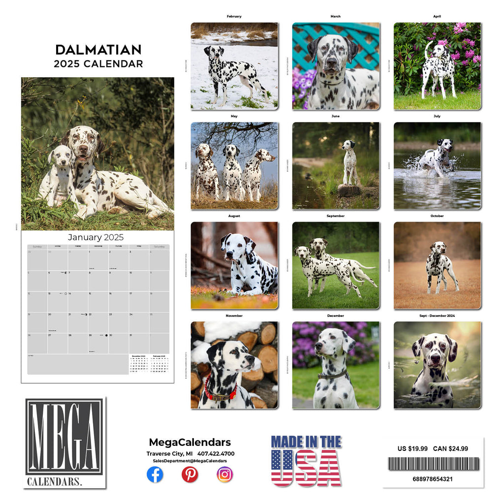 Dalmatian Wall Calendar 2025