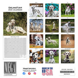 Dalmatian Wall Calendar 2025