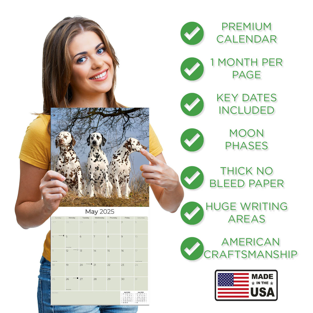 Dalmatian Wall Calendar 2025