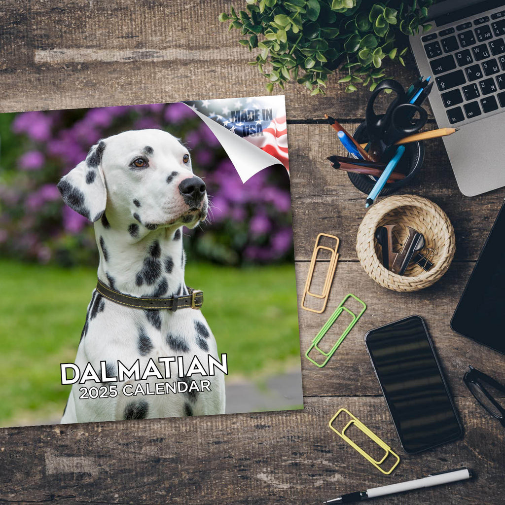 Dalmatian Wall Calendar 2025
