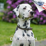 Dalmatian Wall Calendar 2025