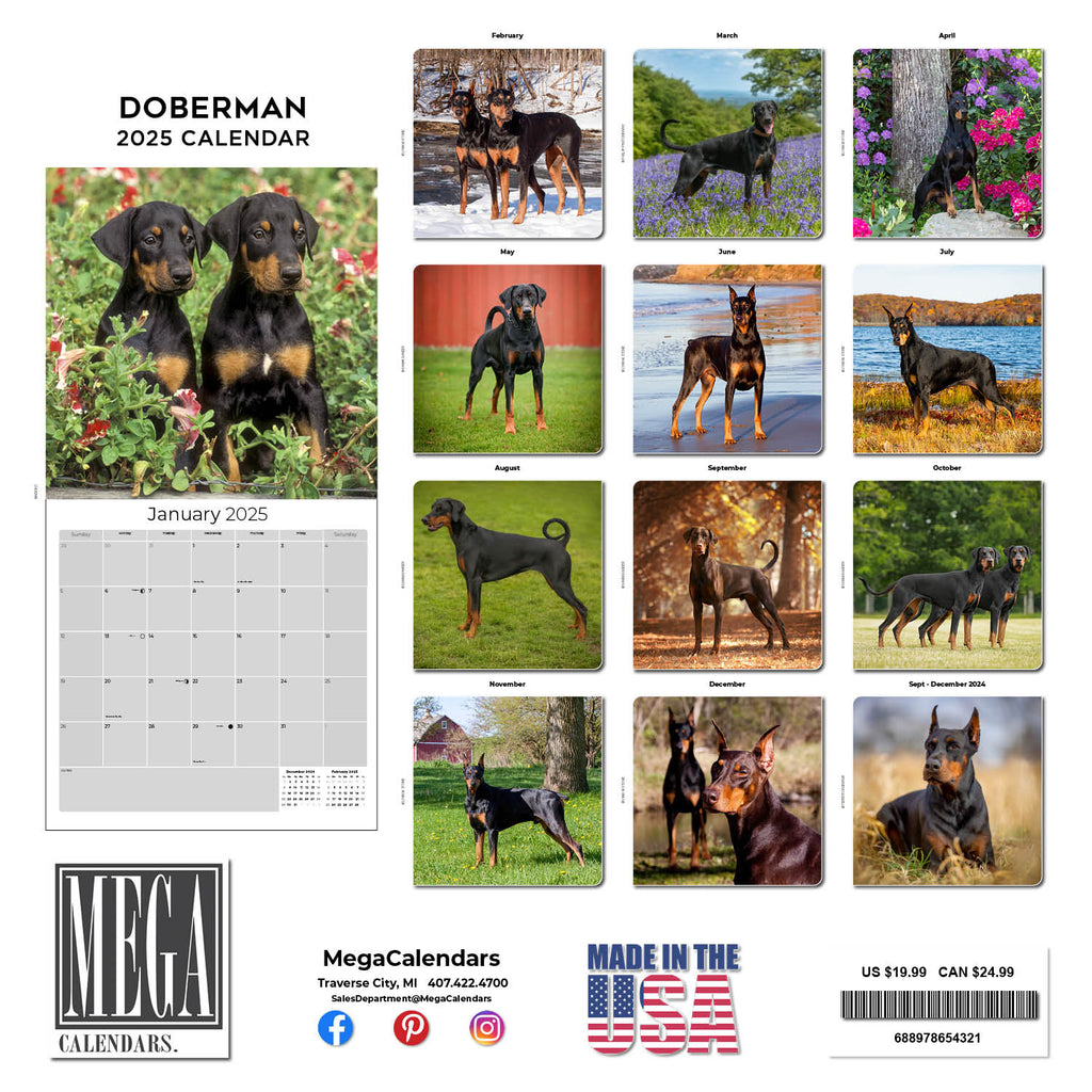 2025 Doberman Calendar
