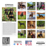 Doberman (US) Wall Calendar 2025