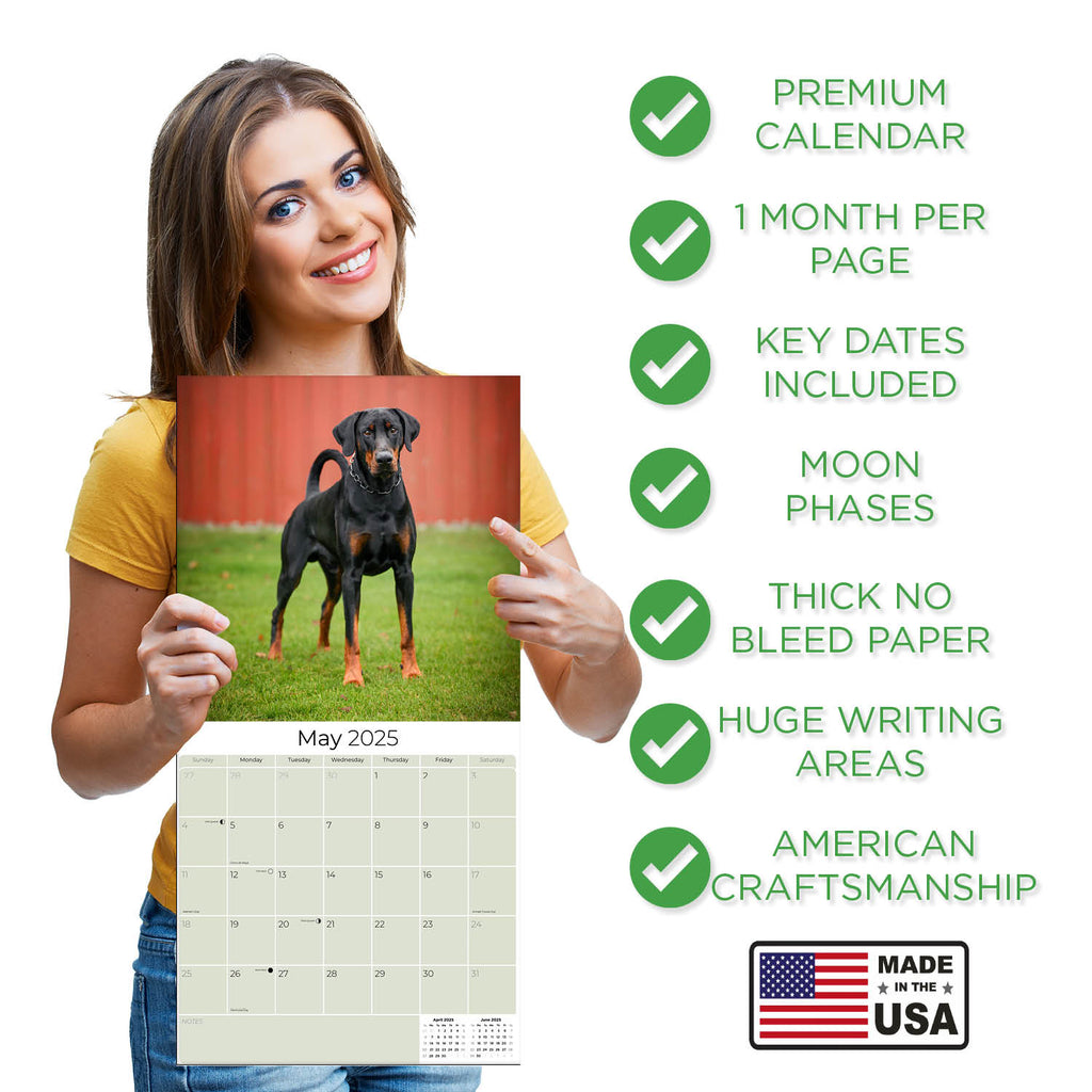 Doberman (US) Wall Calendar 2025