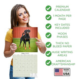 Doberman (US) Wall Calendar 2025