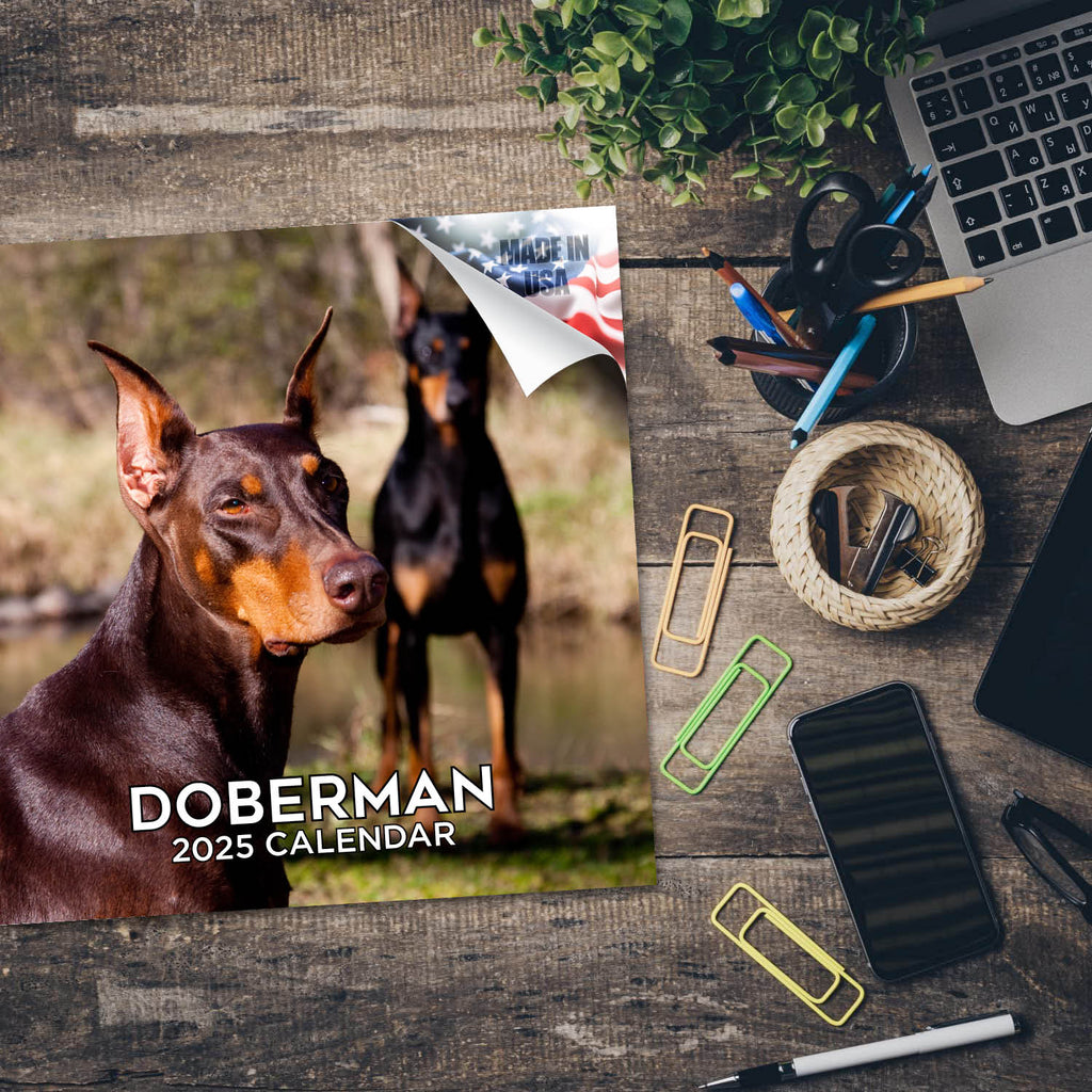Doberman (US) Wall Calendar 2025