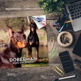 Doberman (US) Wall Calendar 2025